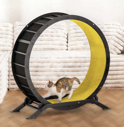 π― Factory Direct CLEARANCE: Ultra-Quiet Cat Running Wheel w/Latch β