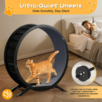 🎯 Factory Direct CLEARANCE: Ultra-Quiet Cat Running Wheel w/Latch ✅