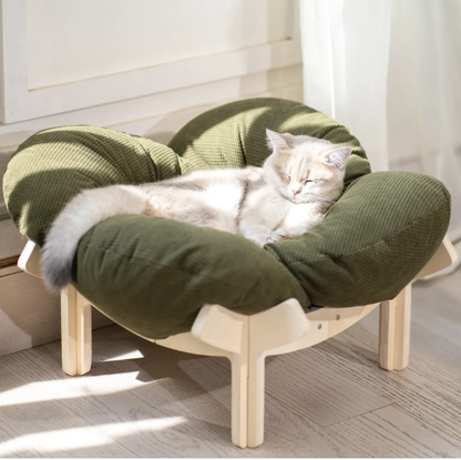 🐱 CLEARANCE: Elevated Wooden Cat Bed w/Cushion   Large   🏭 Factory Direct ✨