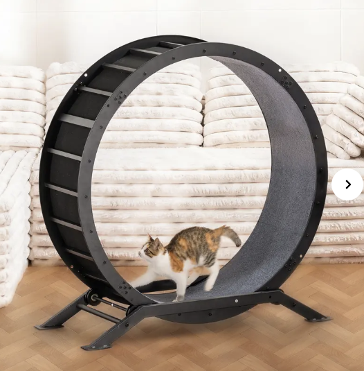 🎯 Factory Direct CLEARANCE: Ultra-Quiet Cat Running Wheel w/Latch ✅
