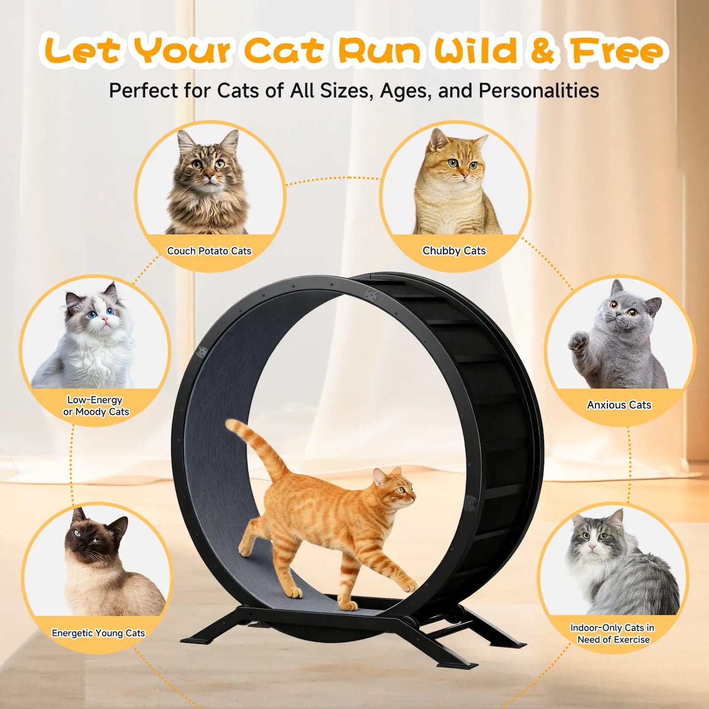 🎯 Factory Direct CLEARANCE: Ultra-Quiet Cat Running Wheel w/Latch ✅