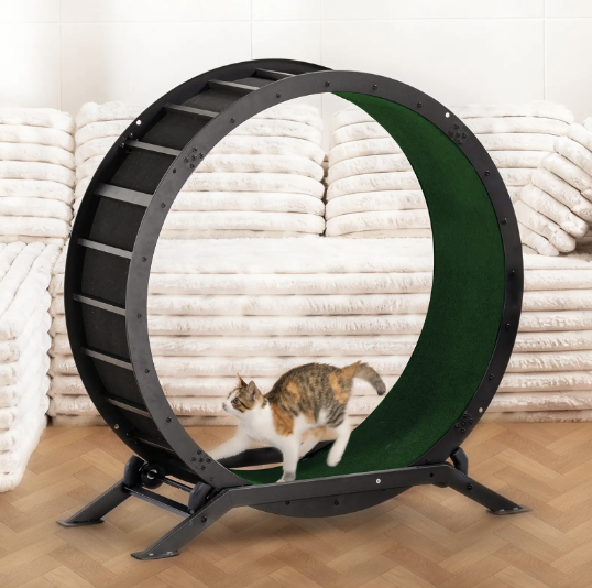 🎯 Factory Direct CLEARANCE: Ultra-Quiet Cat Running Wheel w/Latch ✅