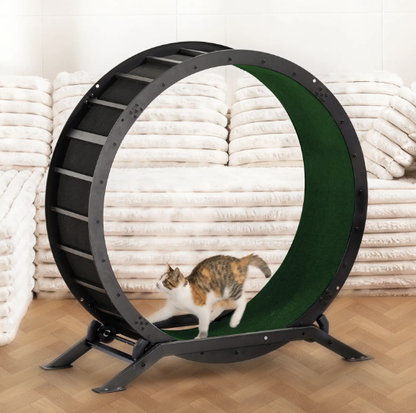 🎯 Factory Direct CLEARANCE: Ultra-Quiet Cat Running Wheel w/Latch ✅