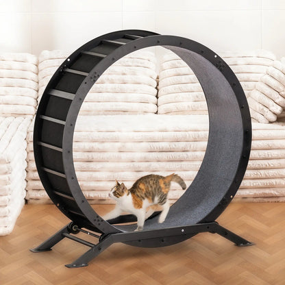 🎯 Factory Direct CLEARANCE: Ultra-Quiet Cat Running Wheel w/Latch ✅