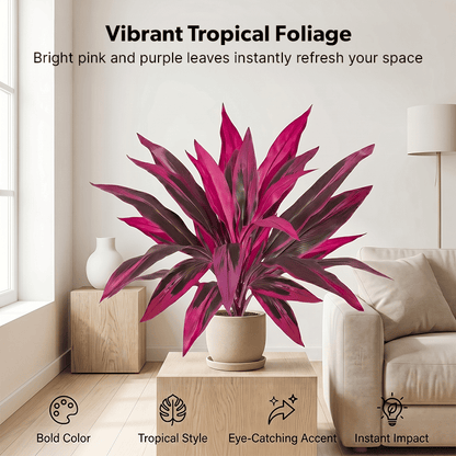 💚💚 Last Day 60% OFF - Artificial Boston Fern & Dragon's Blood Tree Plants