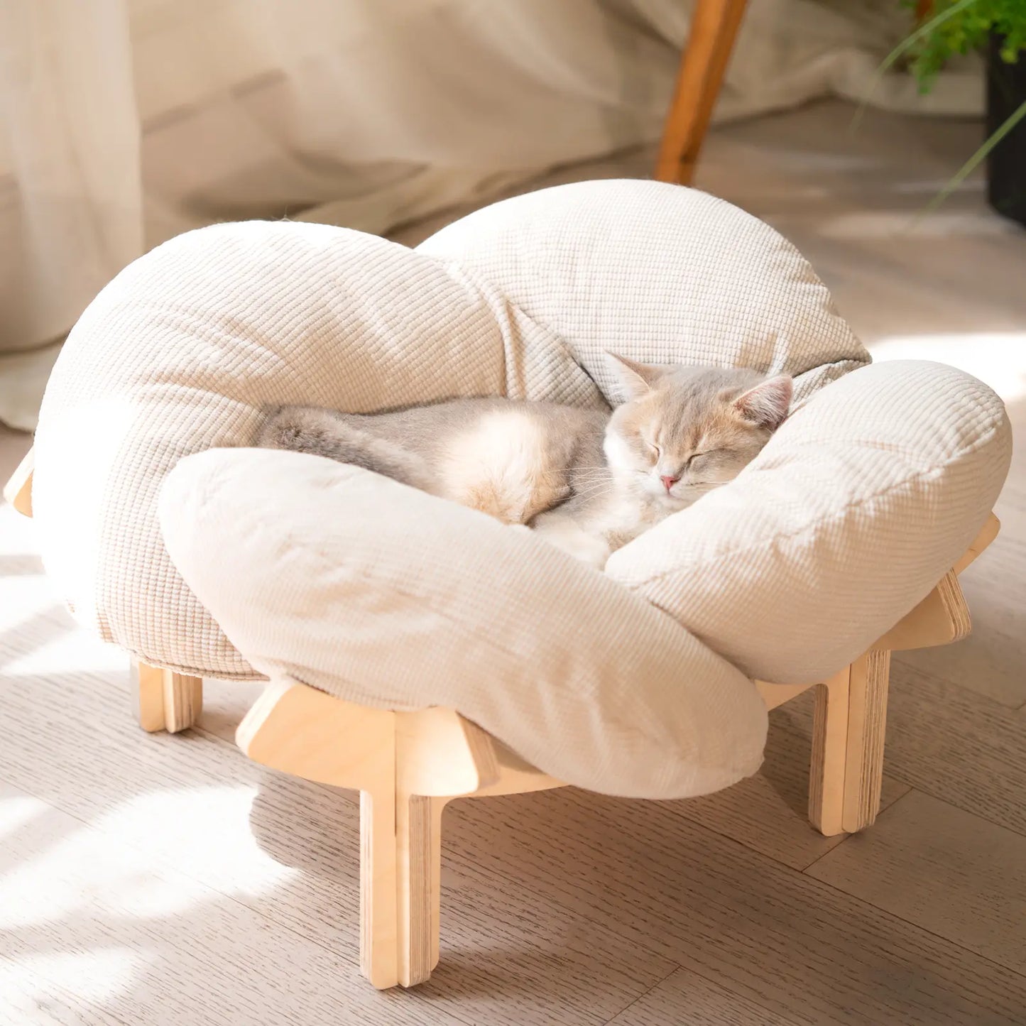 🐱 CLEARANCE: Elevated Wooden Cat Bed w/Cushion   Large   🏭 Factory Direct ✨