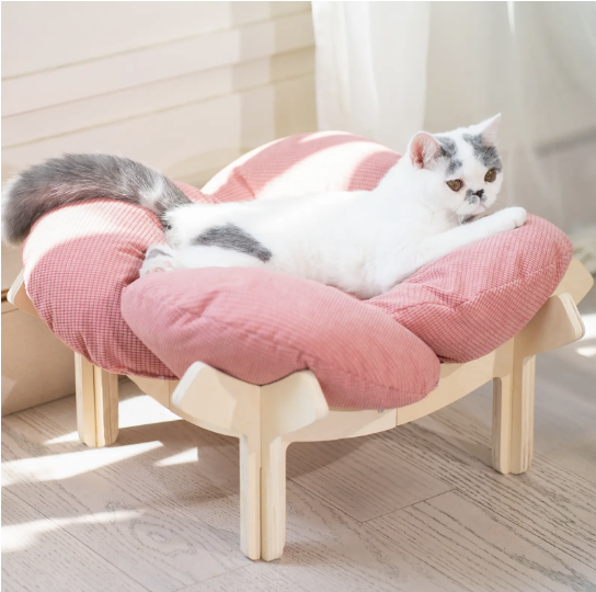 🐱 CLEARANCE: Elevated Wooden Cat Bed w/Cushion   Large   🏭 Factory Direct ✨