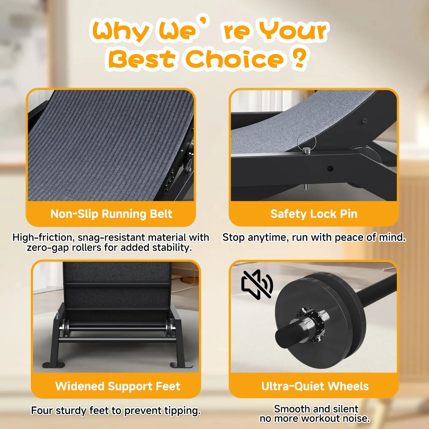 🎯 Factory Direct CLEARANCE: Ultra-Quiet Cat Running Wheel w/Latch ✅