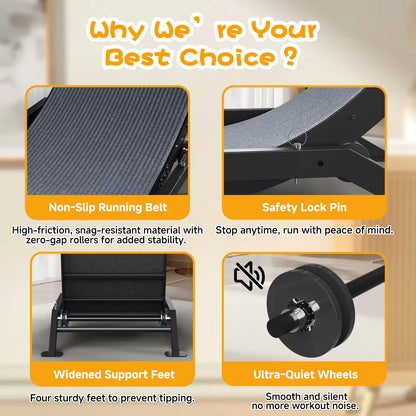 🎯 Factory Direct CLEARANCE: Ultra-Quiet Cat Running Wheel w/Latch ✅