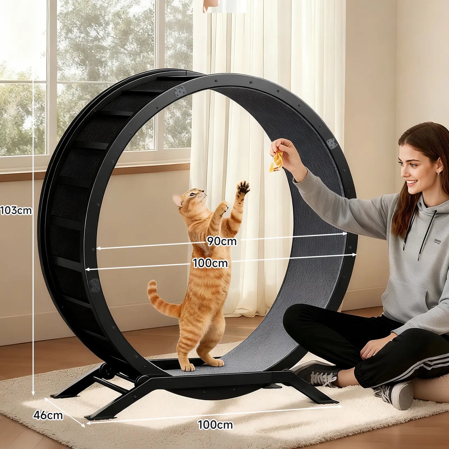 🎯 Factory Direct CLEARANCE: Ultra-Quiet Cat Running Wheel w/Latch ✅