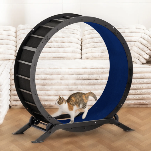 🎯 Factory Direct CLEARANCE: Ultra-Quiet Cat Running Wheel w/Latch ✅