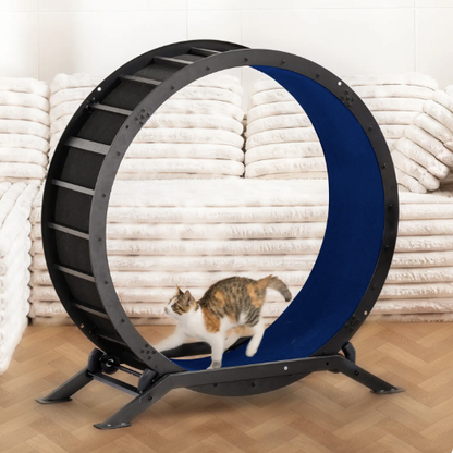 🎯 Factory Direct CLEARANCE: Ultra-Quiet Cat Running Wheel w/Latch ✅